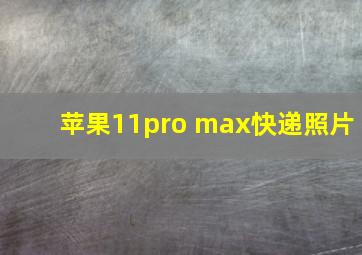 苹果11pro max快递照片